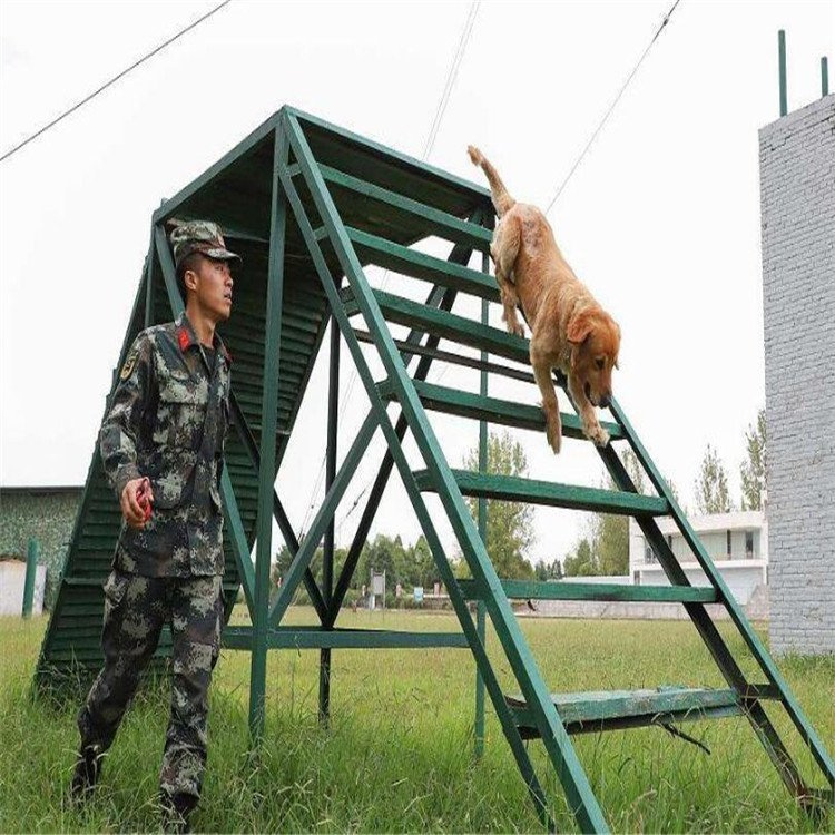 警犬训练器材